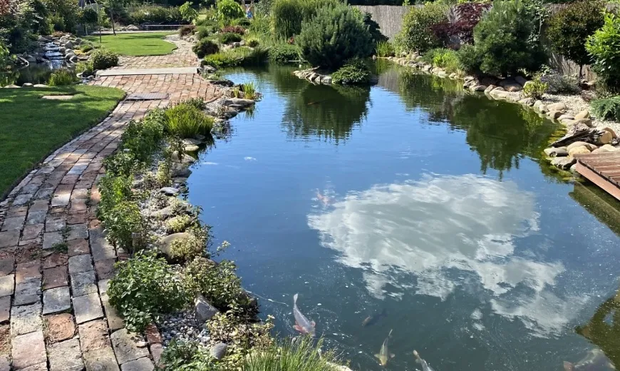 Záhradné jazierko s prírodným vzhľadom ako súčasť záhradnej architektúry