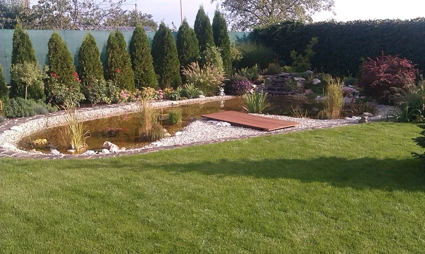 Okrasné jazierko s prírodným dizajnom ako pokojný prvok záhradnej architektúry